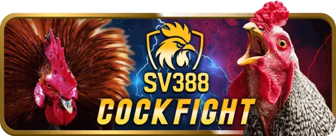 Ưu điểm đá gà qh8888 win